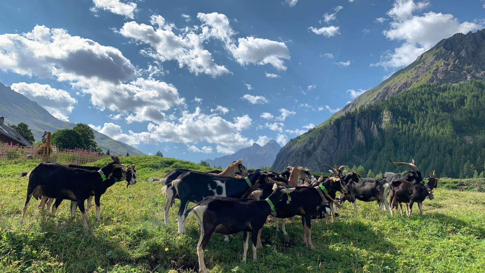 Ferme des étroits à Valloire