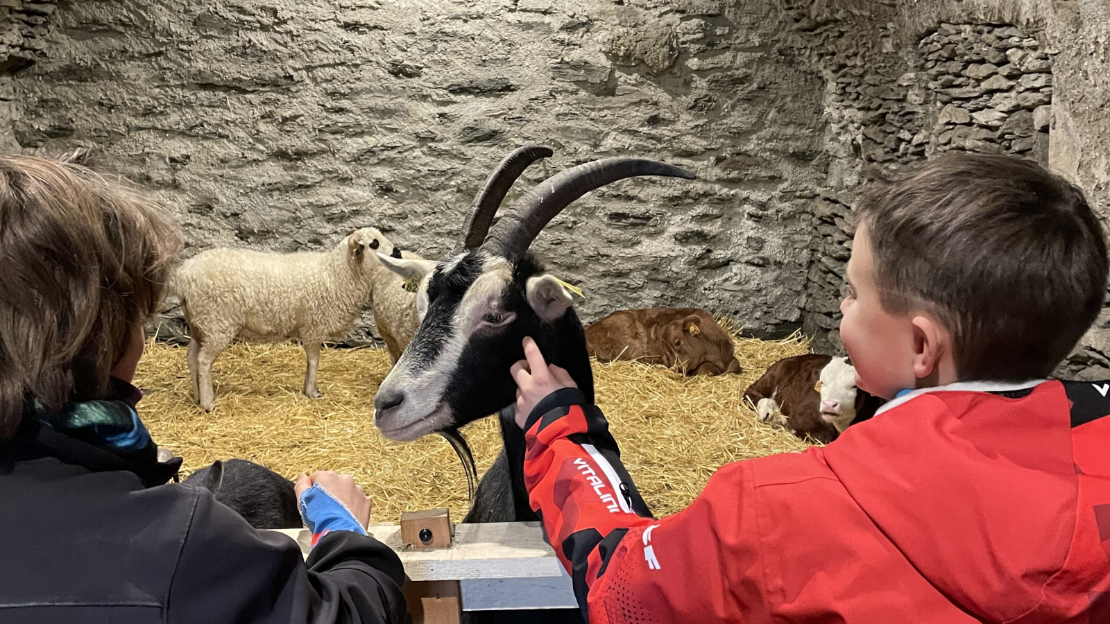 New high-altitude restaurant in Val Cenis, the Ferme du XIII on the Escargot trail