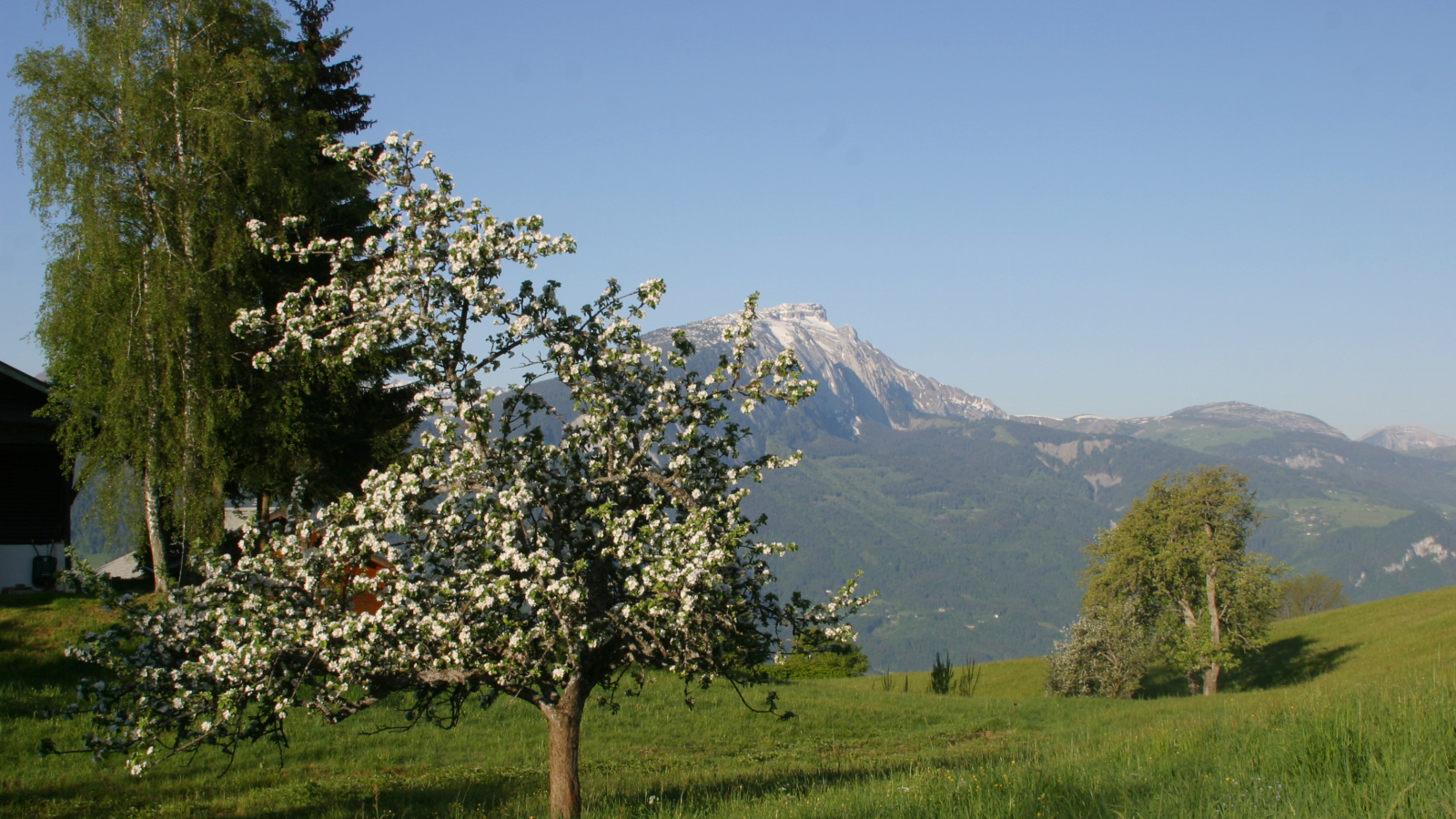 Marche sensorielle