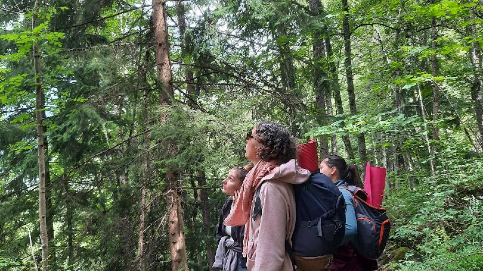 groupe d'adultes en pleine contemplation dans une foret