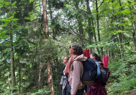 groupe d'adultes en pleine contemplation dans une foret