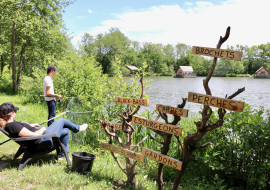 pêche en dombes