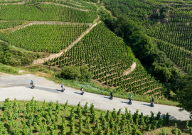 Groupe de plusieurs personnes en train de faire du gyropode sur une route qui serpente entre les vignes