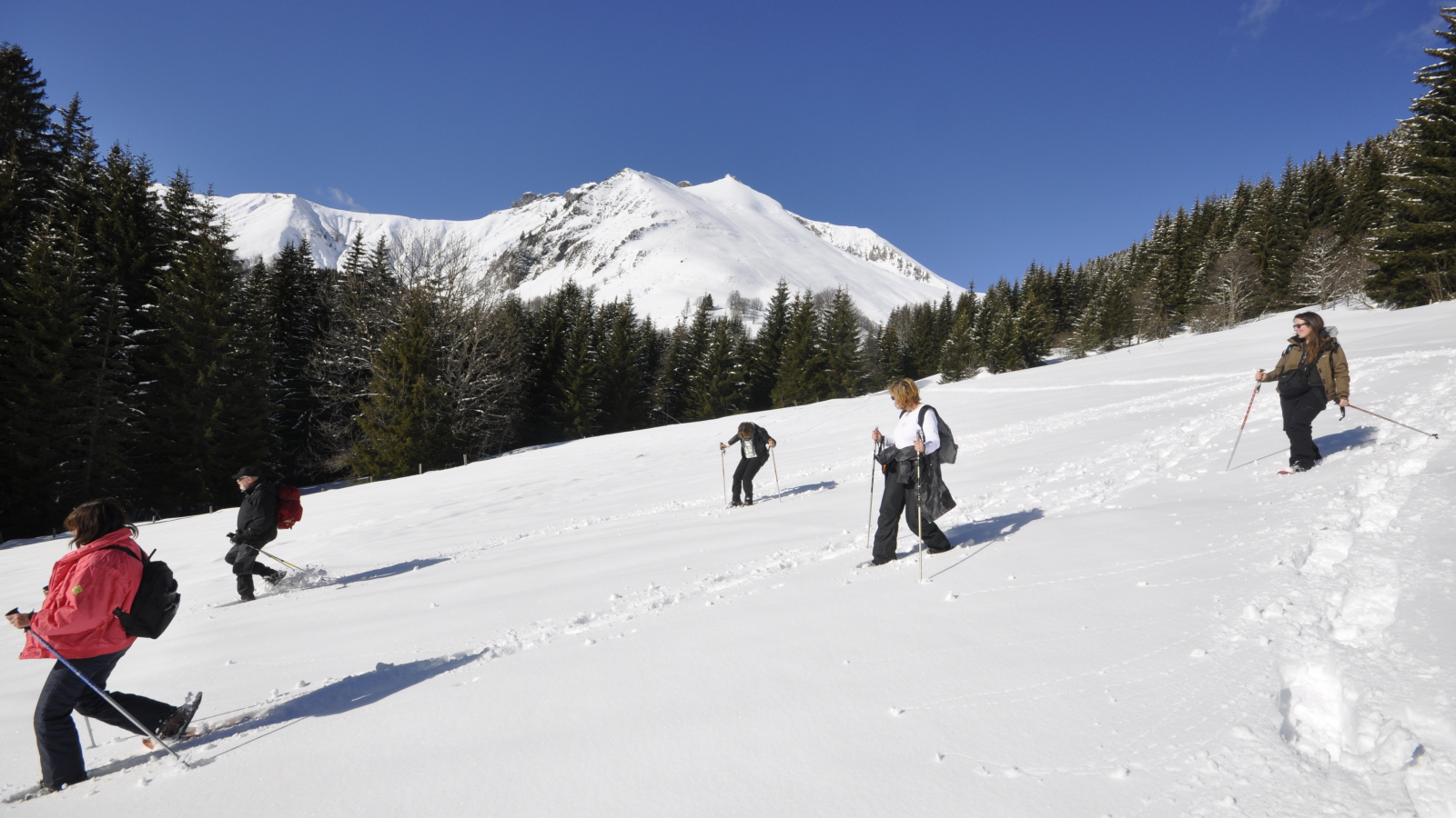 Journée pique-nique avec les chamois