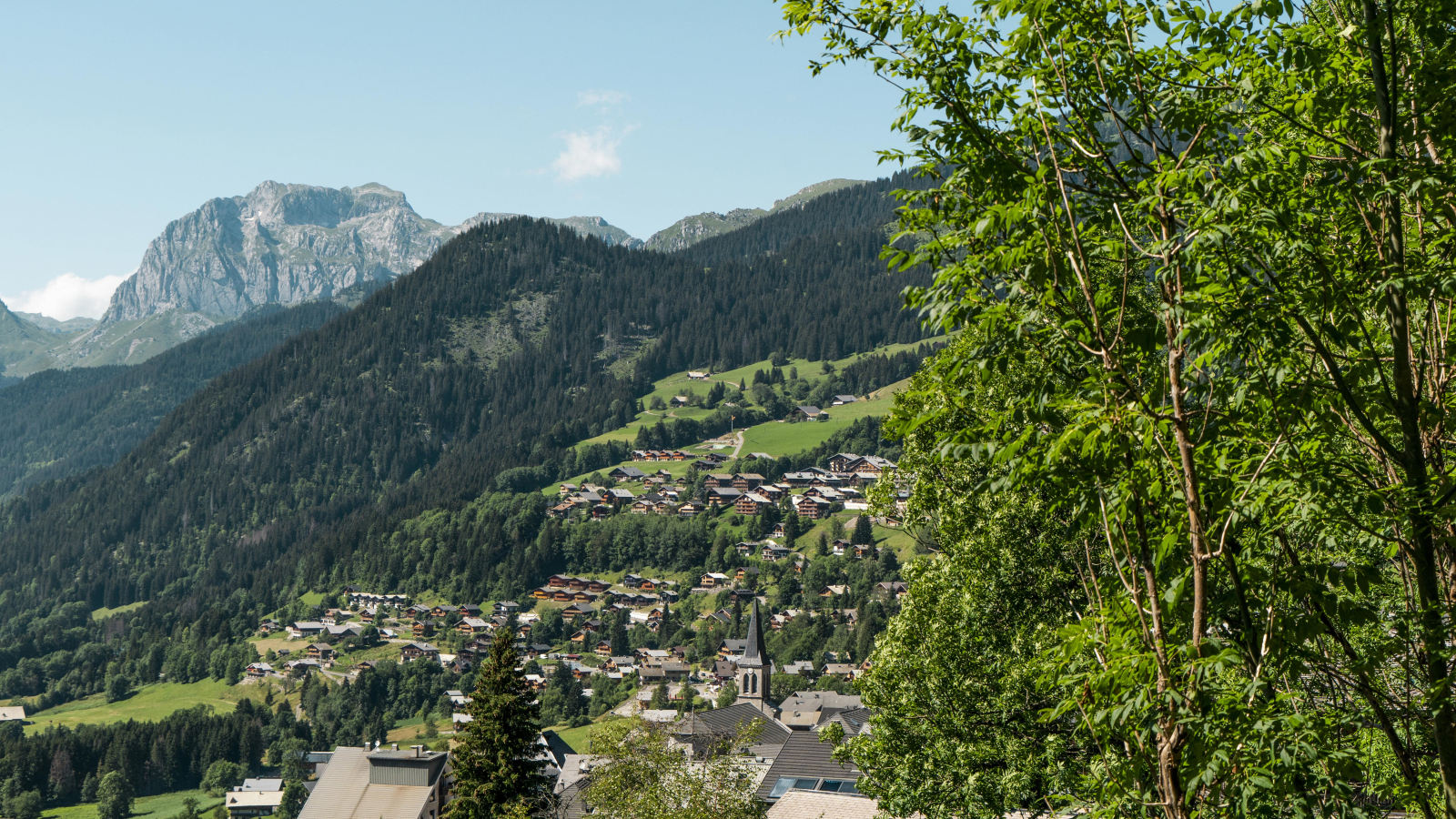 Vue du village en été avec montagne en arrière plan et arbre au premier