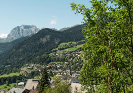 Vue du village en été avec montagne en arrière plan et arbre au premier