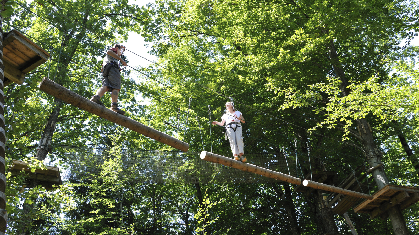 Parcours accrobranche