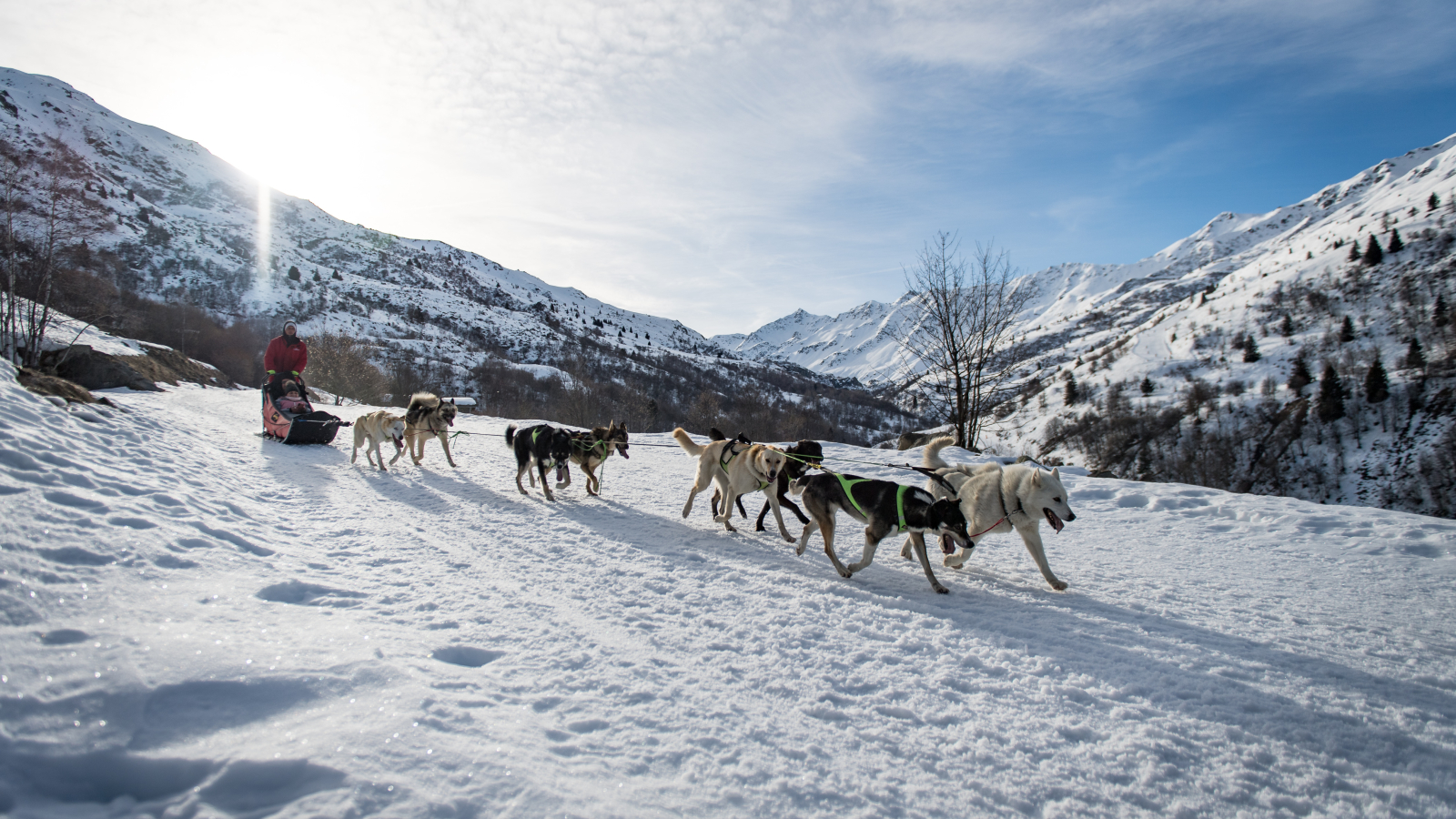 Balade en chien de traineau avec Mad Dogs Sport Aventure à Valmeinier