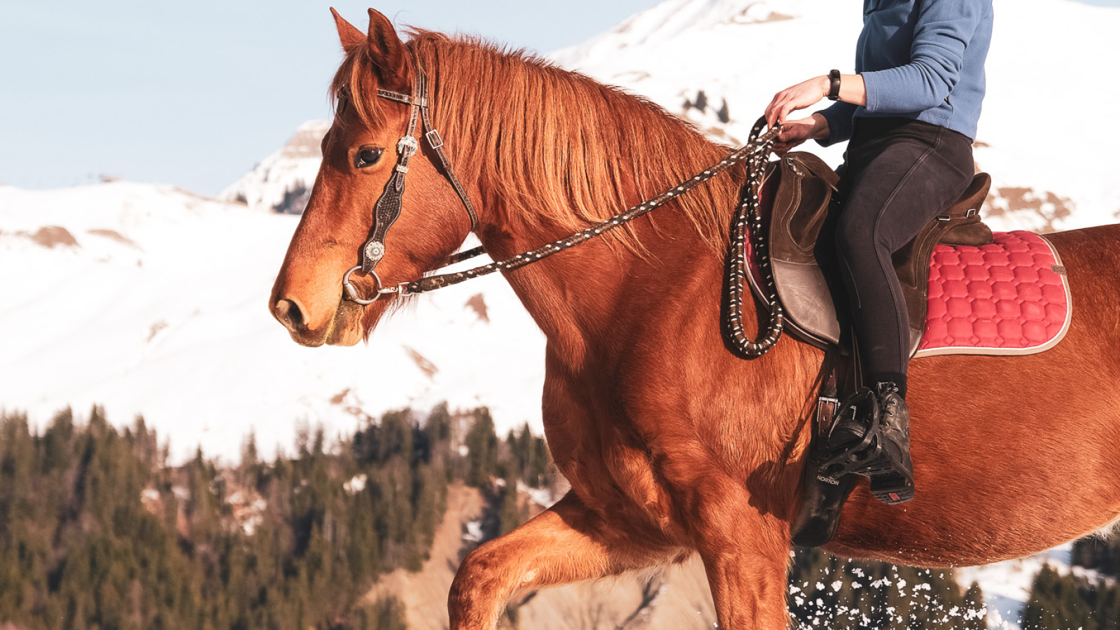 Balade à poney au Grand-Bornand