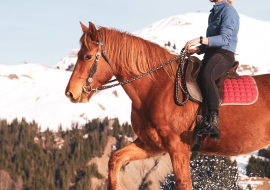 Balade à poney au Grand-Bornand