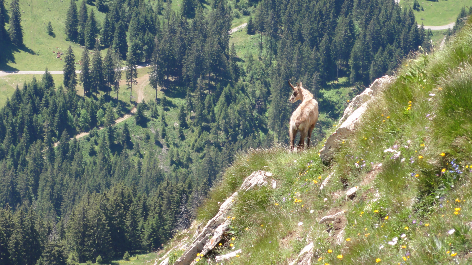 Charmant pied-à-terre pour randonner dans le Vercors