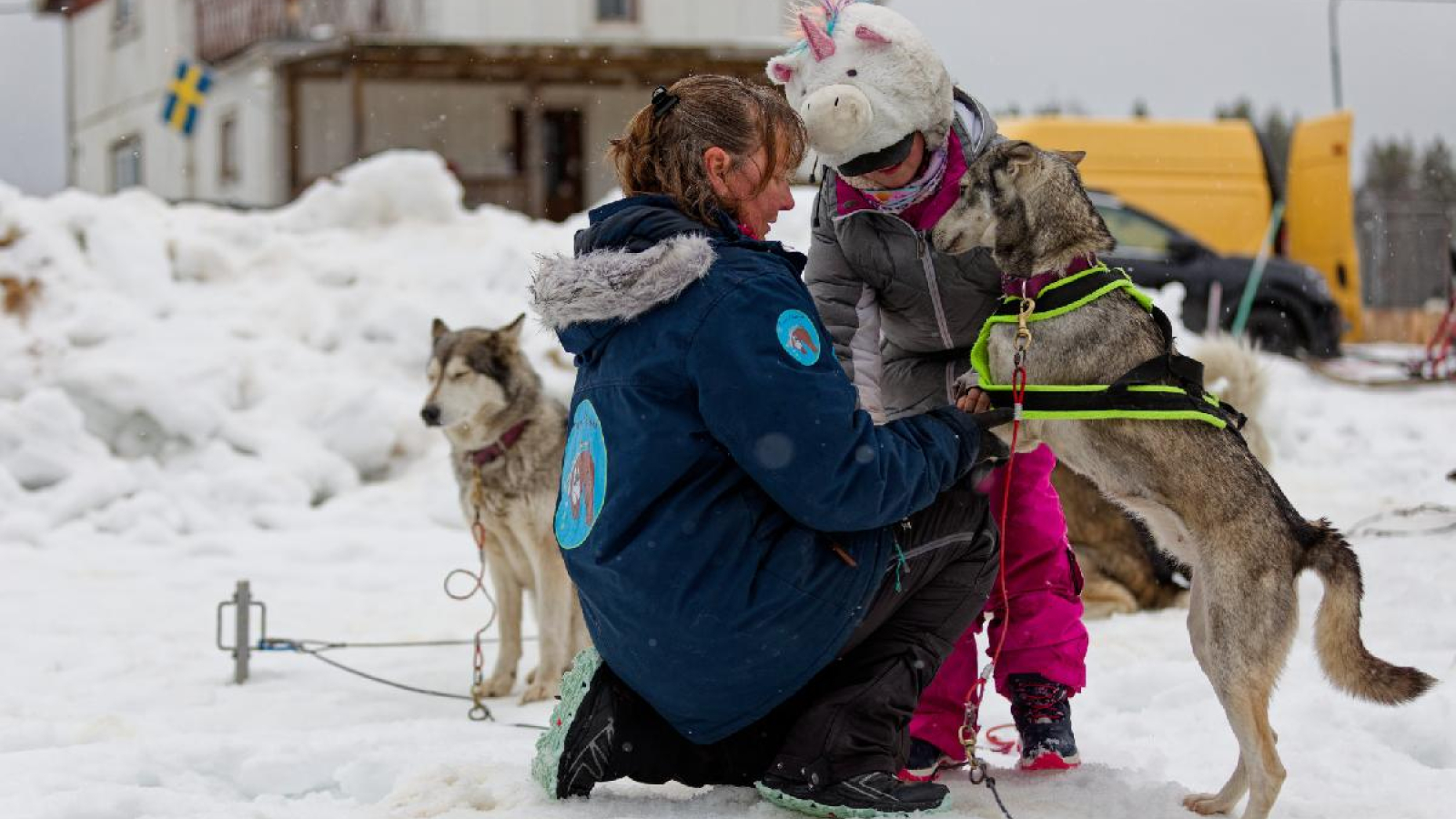 Enfant chien de traineau