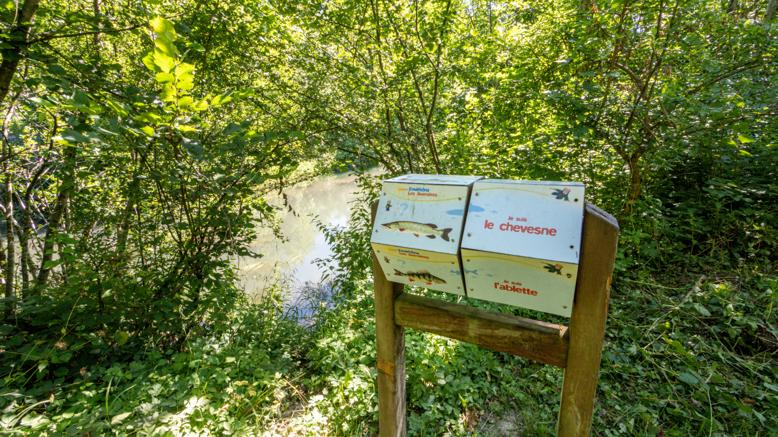 Panneau pédagogique le long du sentier Envirhôna - Les Avenières-Veyrins-Thuellin - Balcons du Dauphiné