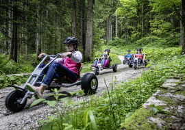 Mountain Cart - Sainte Foy