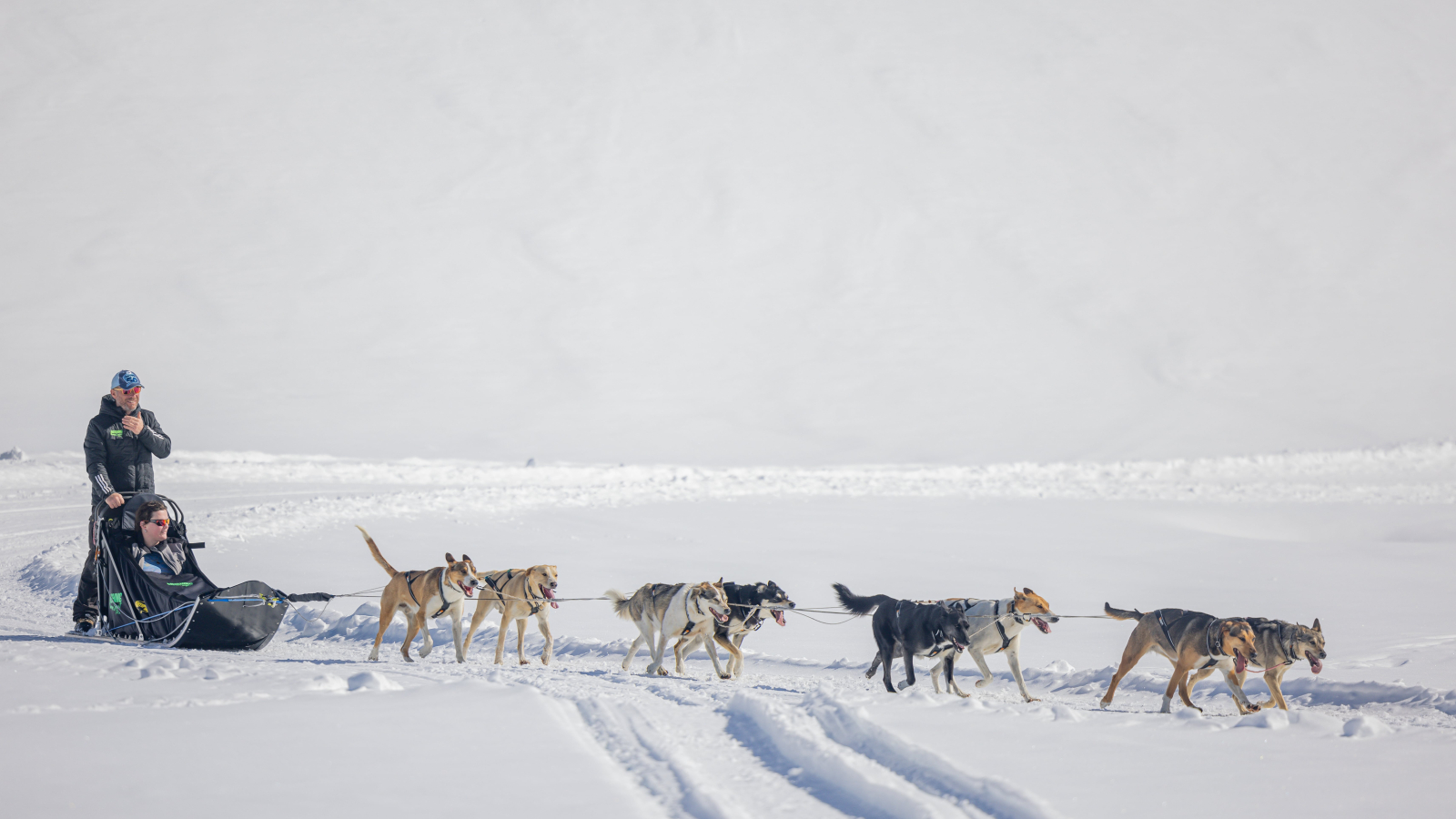 Dog sledding baptisms at the Mont Cenis