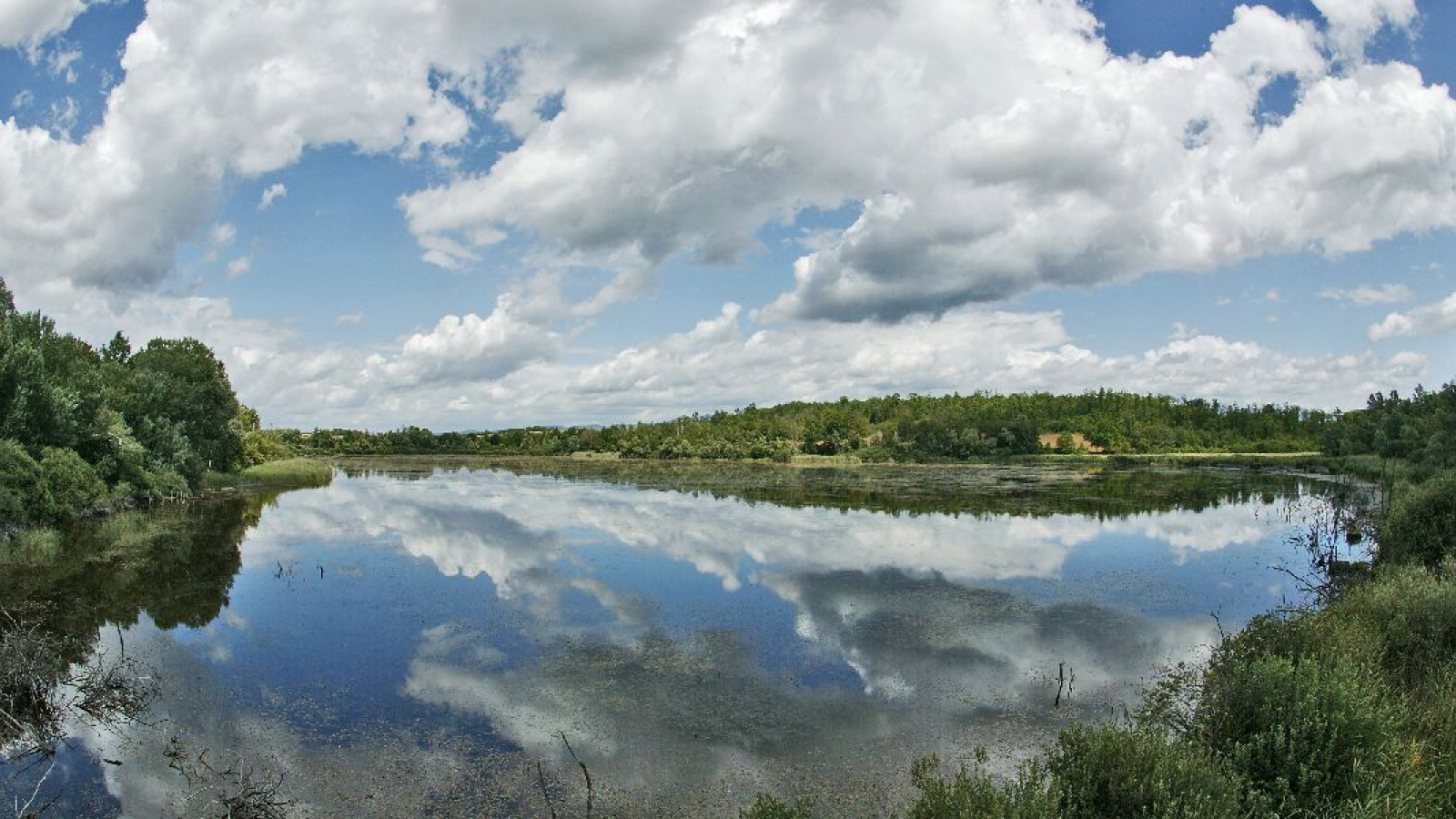 Espace naturel sensible de l’étang de Lemps