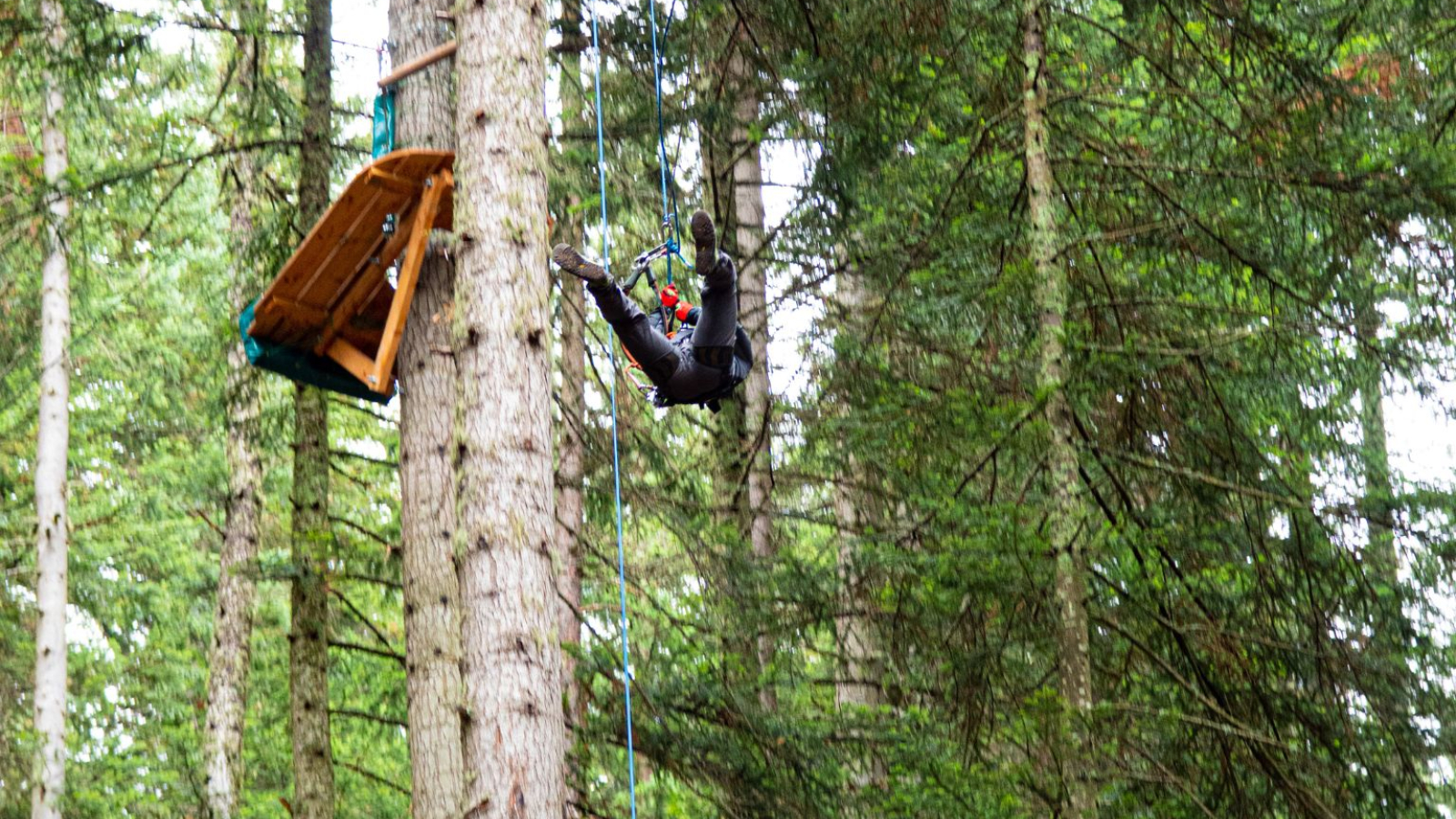 Vol du gypaète, saut pendulaire