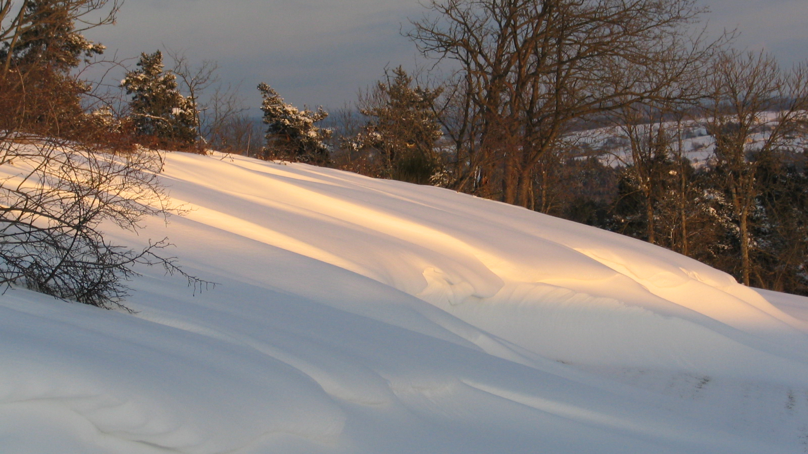 Paysage d'hiver