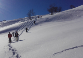 Descente vers les vieux villages