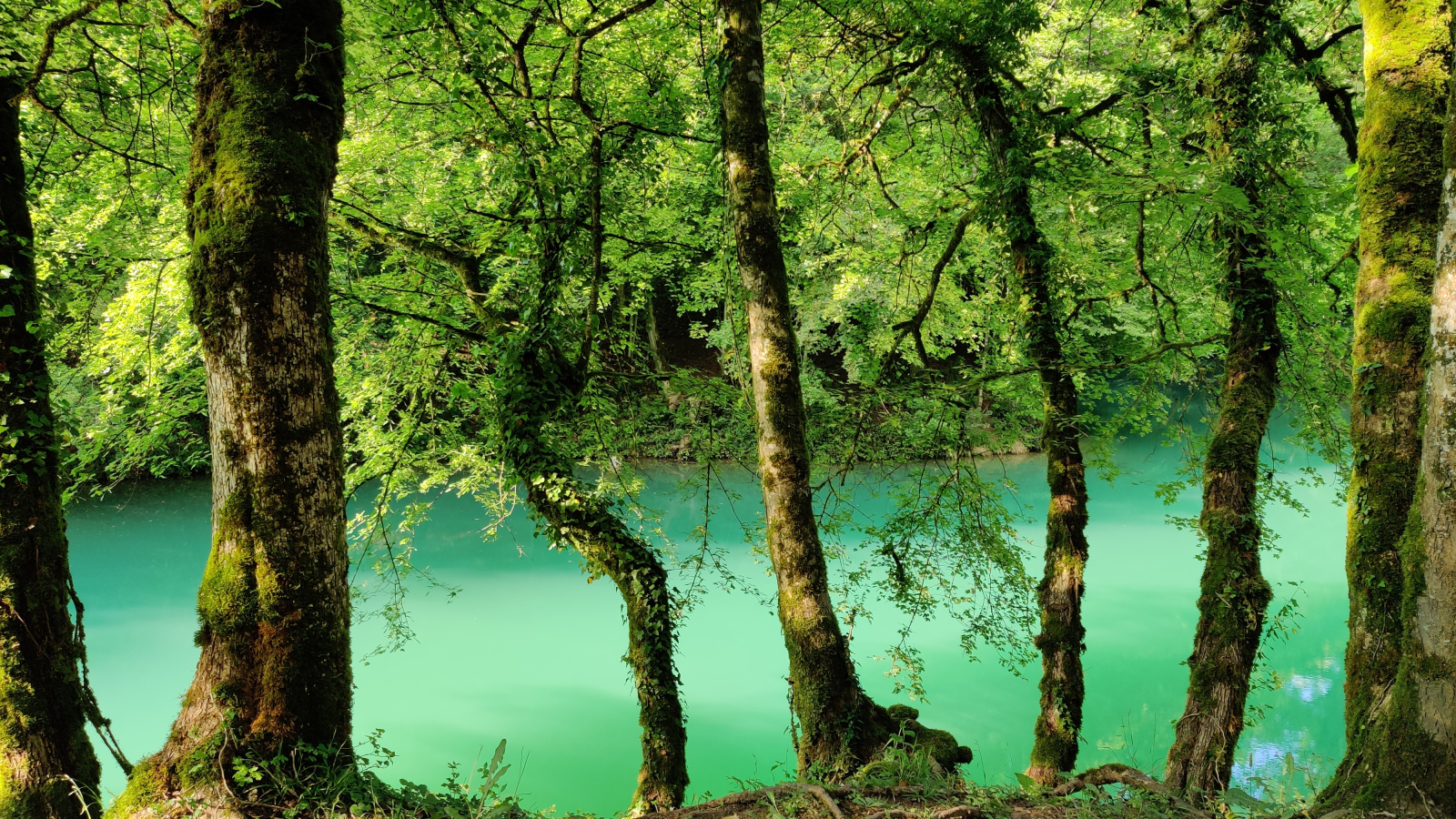 Lac bleu au printemps