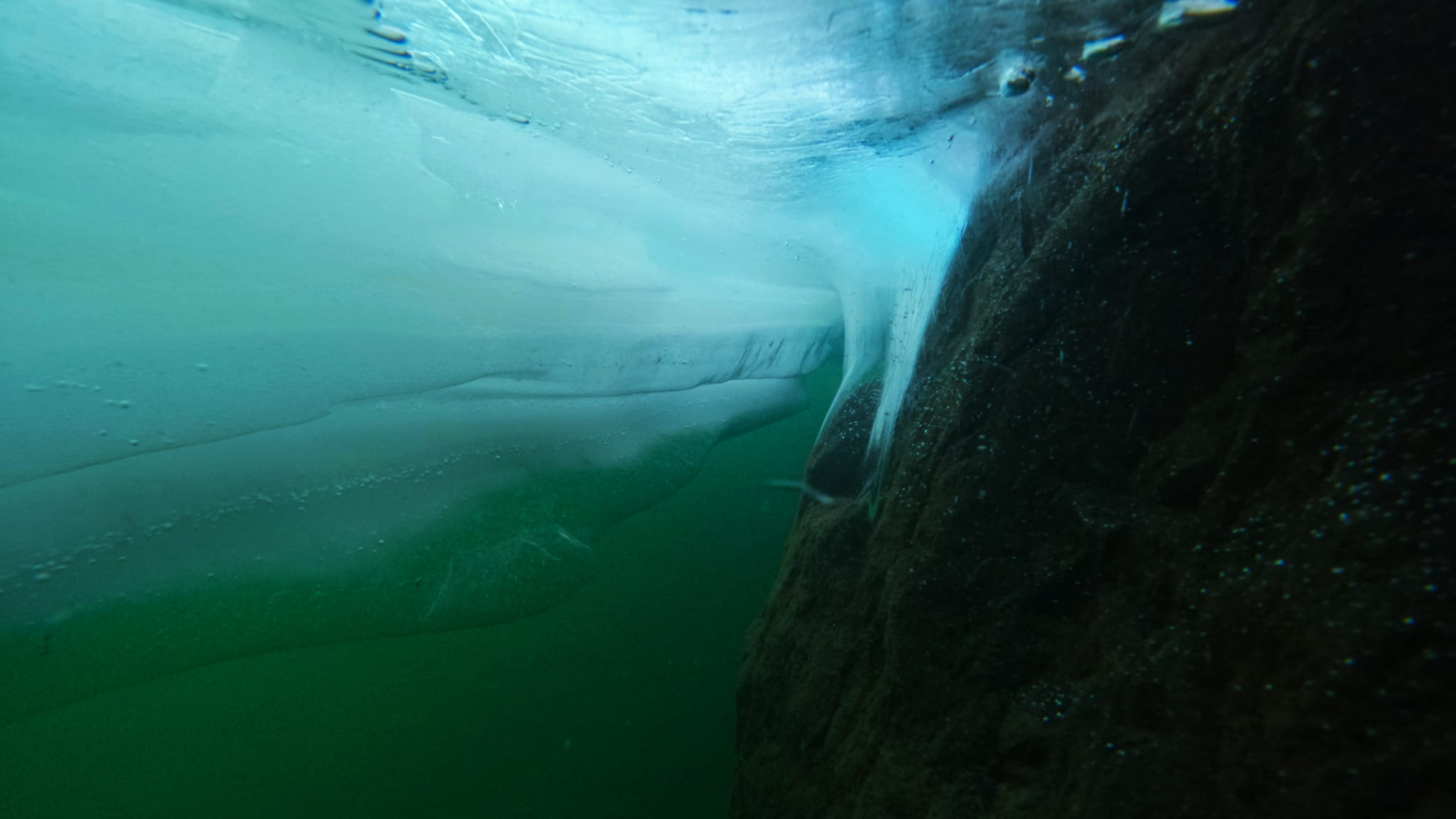 Ice diving