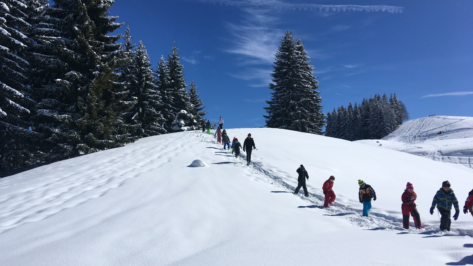 plateau d'Agy