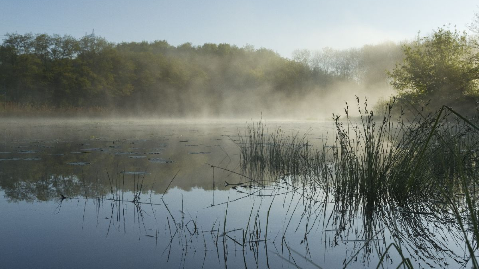 Espace Naturel Sensible Etang de Bas et Falaises de Ravières