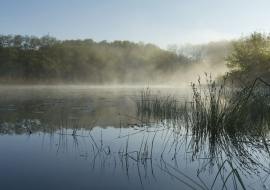 Espace Naturel Sensible Etang de Bas et Falaises de Ravières