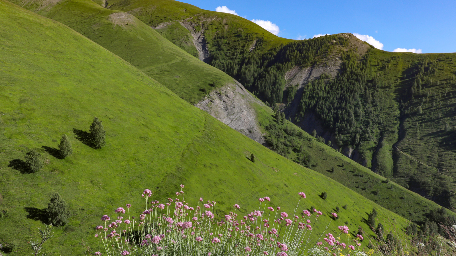 Alpages au dessus de Besse