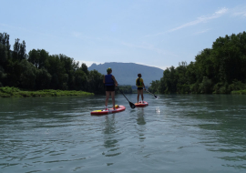 Stand up paddle