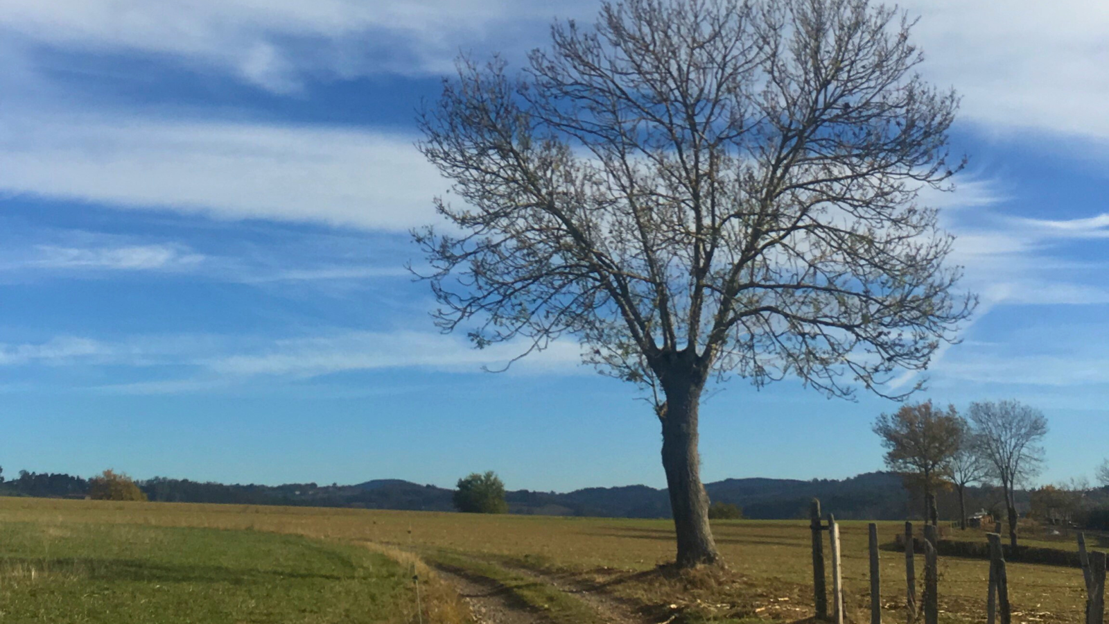 chemin de campagne