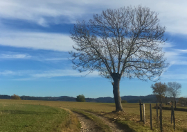 chemin de campagne