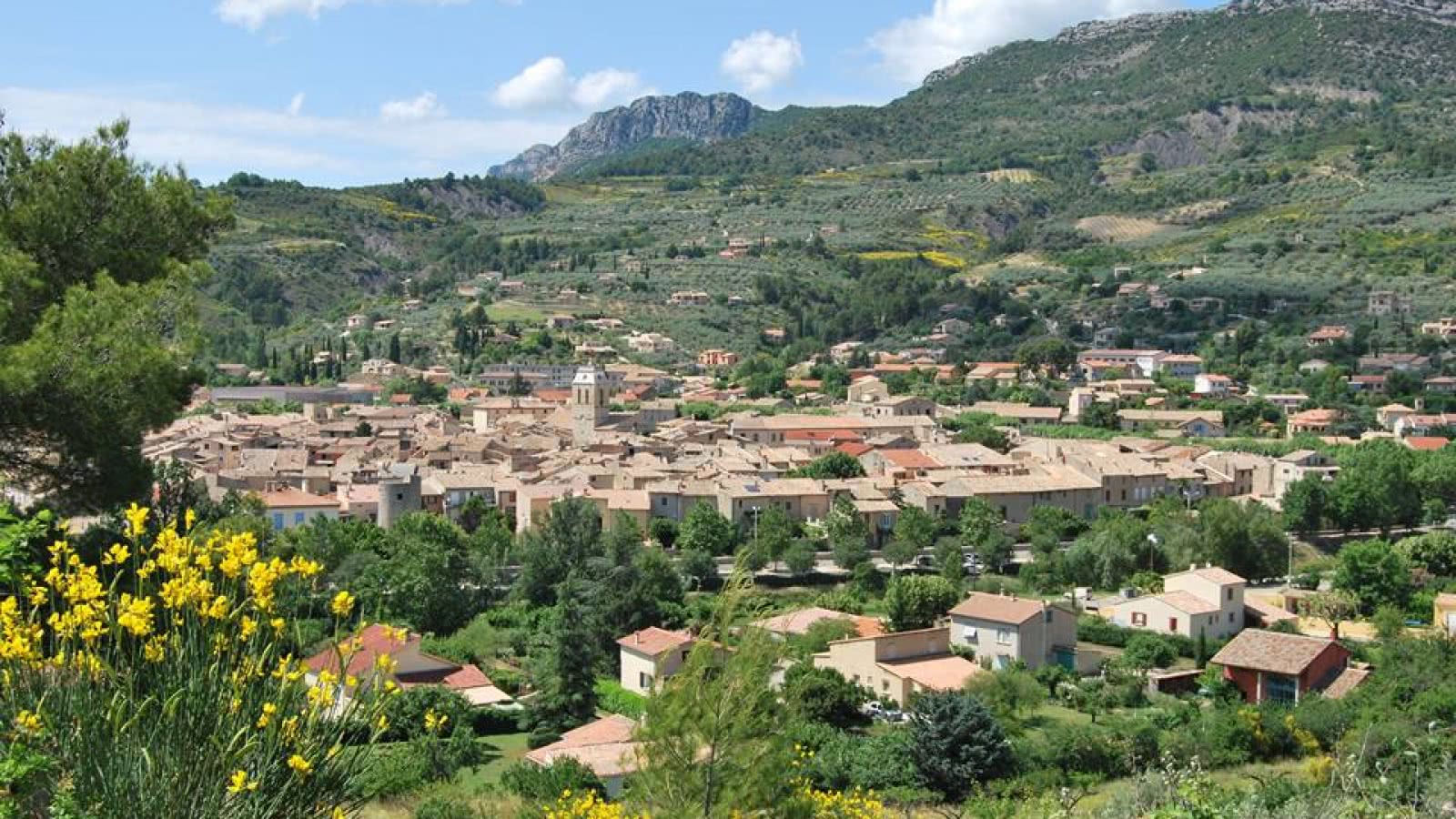 Découverte en duo de la Drôme provençale : à vélo électrique au pays de l'olive