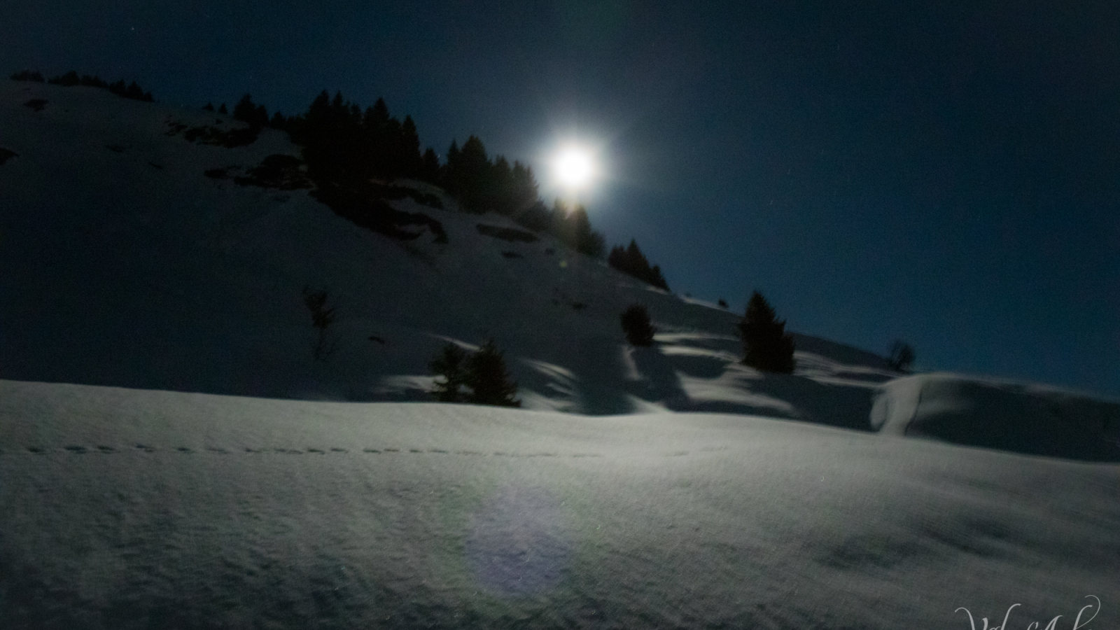 Sortie raquette à la pleine lune