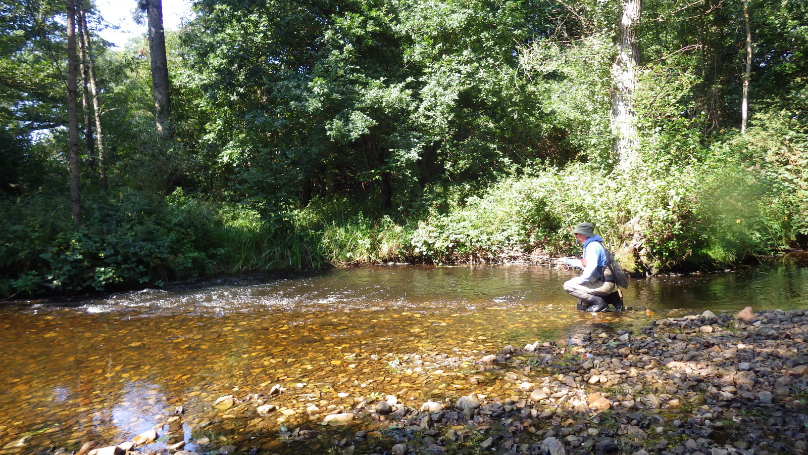 pêche de la dore dans le Forez