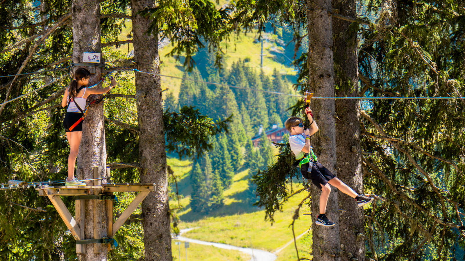 Treetop Adventure Trail - Tyrolean traverse