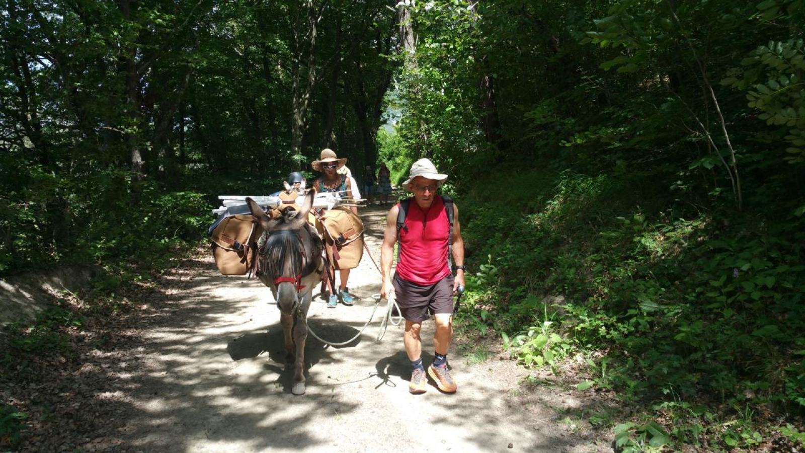 Randonnée et Bivouac avec des Anes - Séjour sans voiture