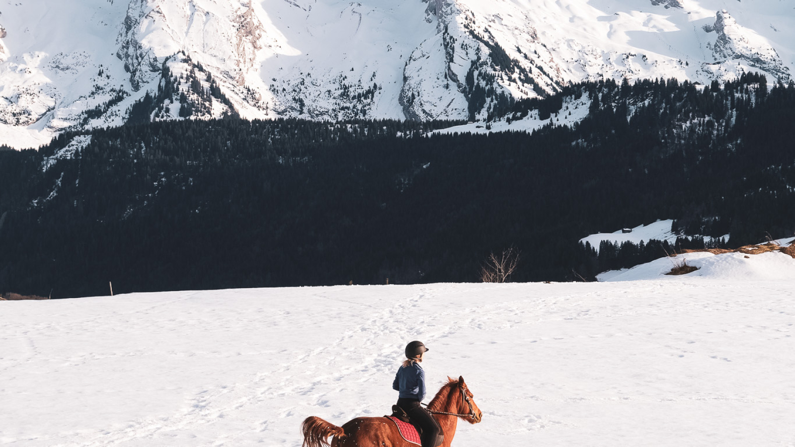 Balade à poney au Grand-Bornand