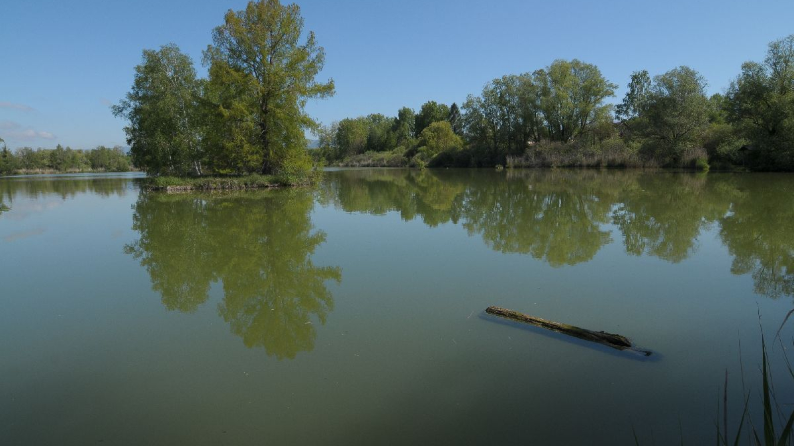 ENS la Save étangs de la Serre