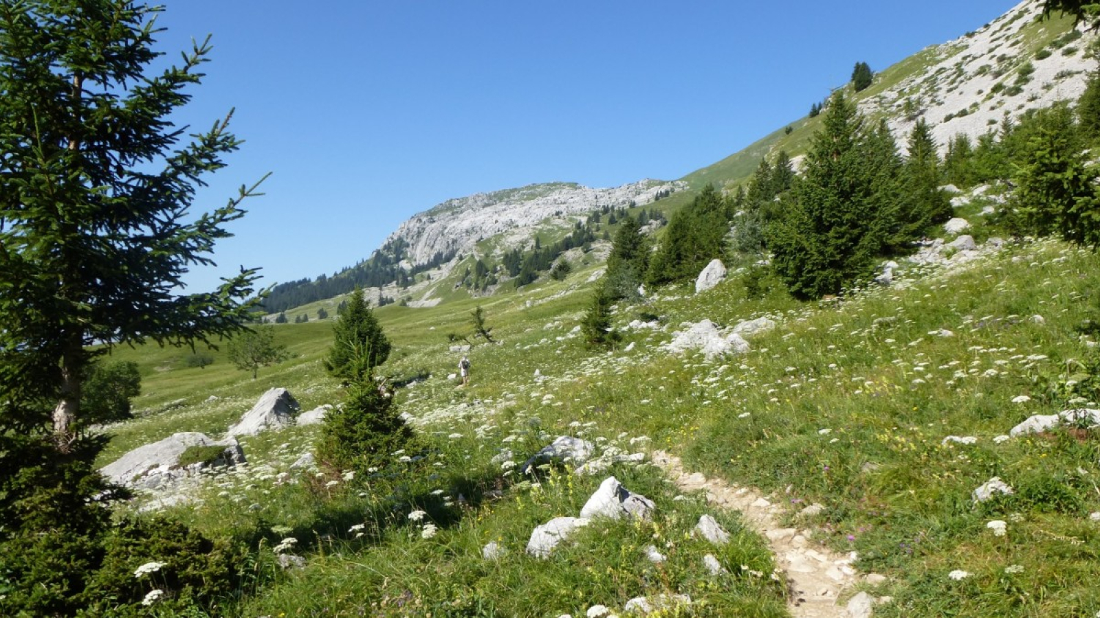 Randonnée en famille les marmottes