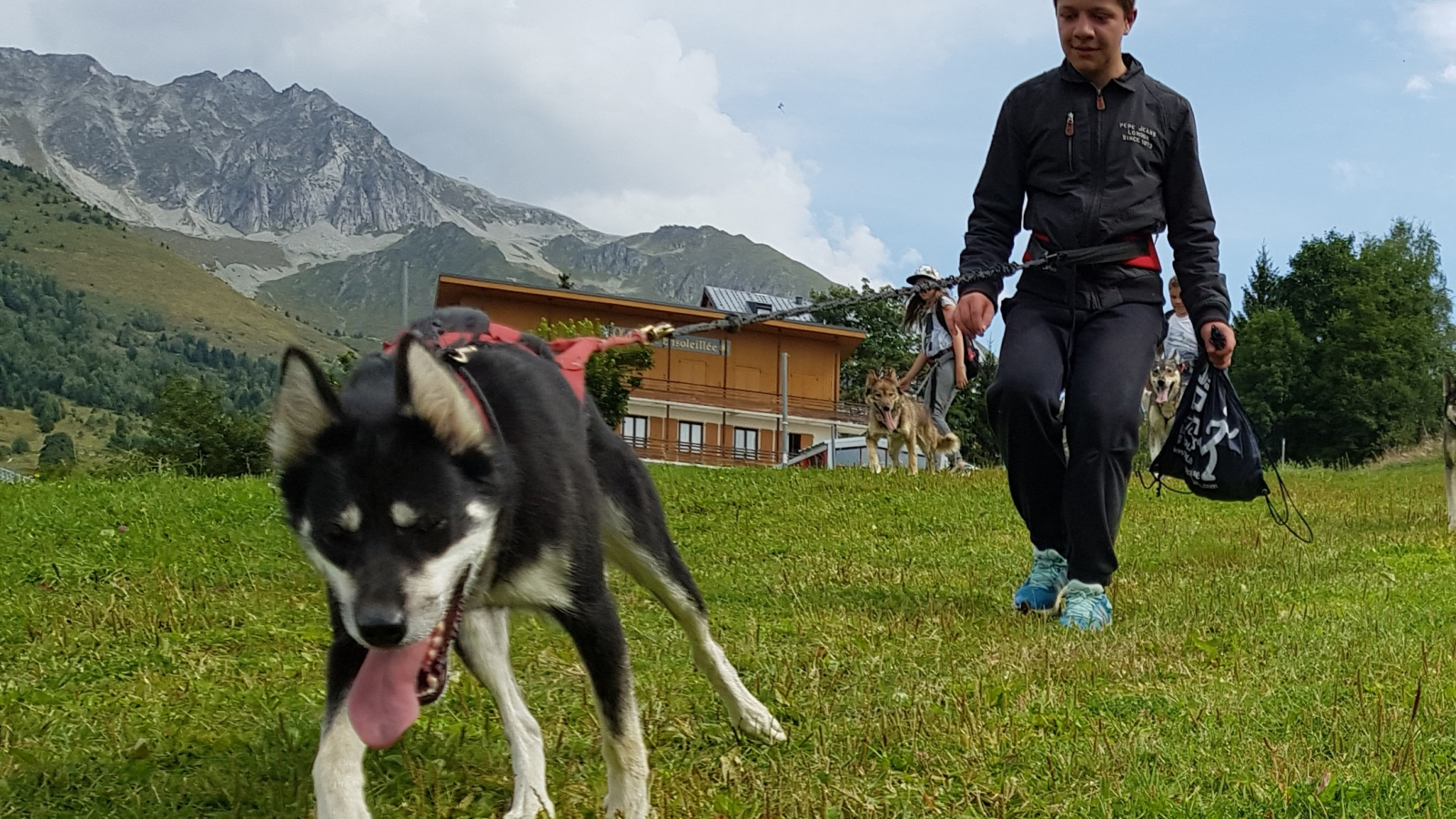 Cani-rando in Val Cenis-Lanslebourg