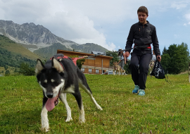 Cani-rando in Val Cenis-Lanslebourg