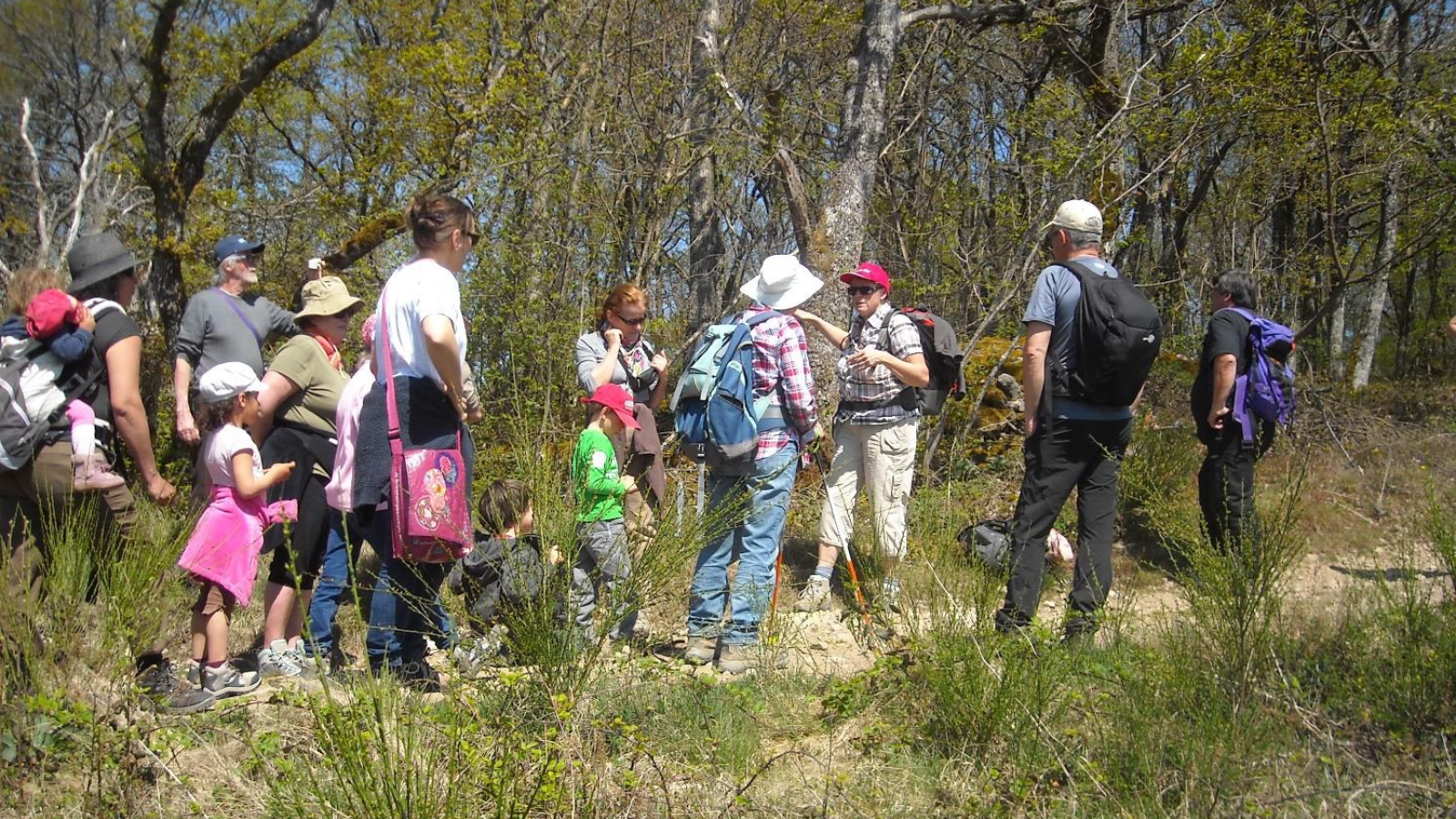 Balade dans le biotope des Landes