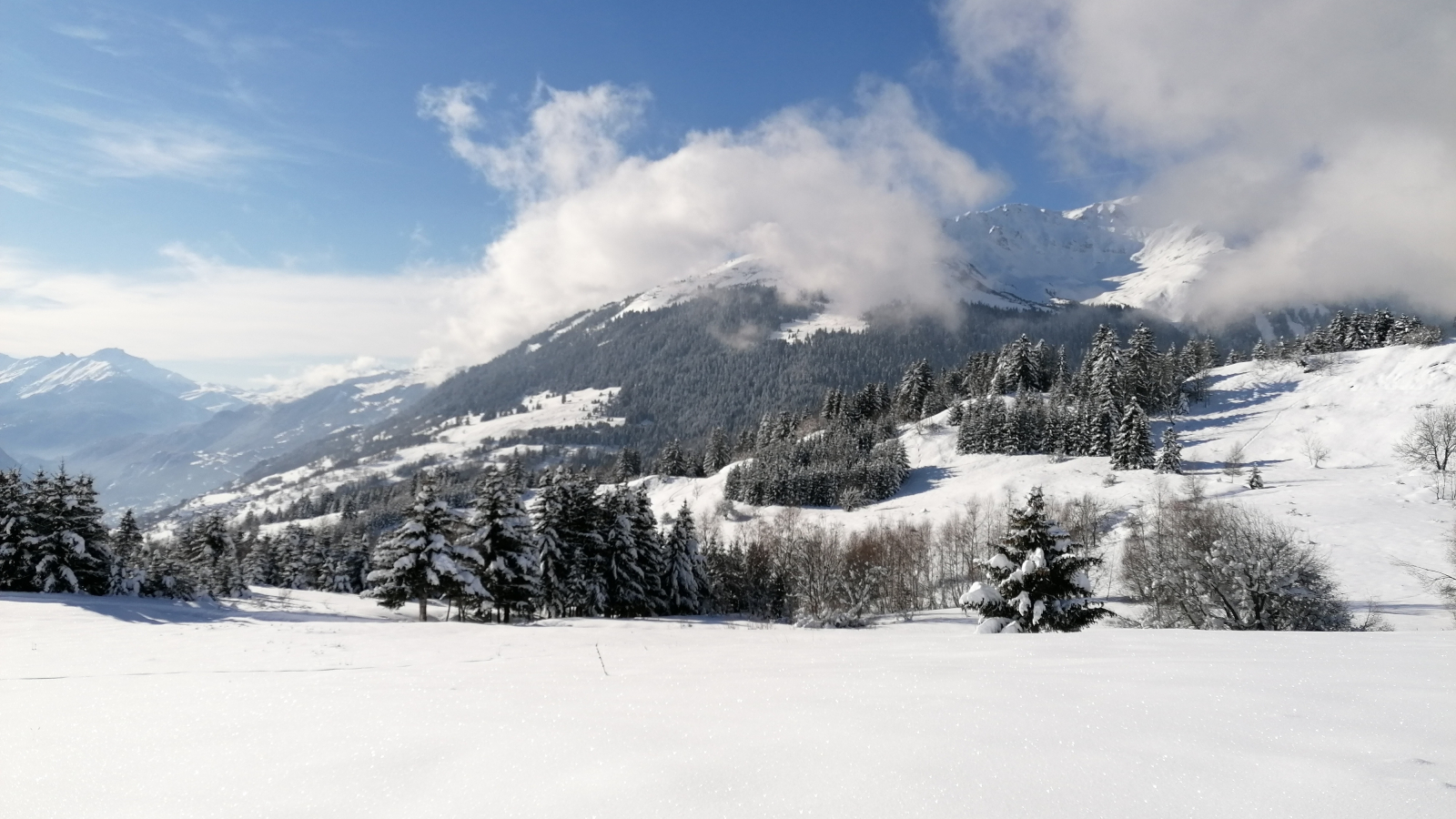 Sublime vue enneigée sur le plateau des Fours