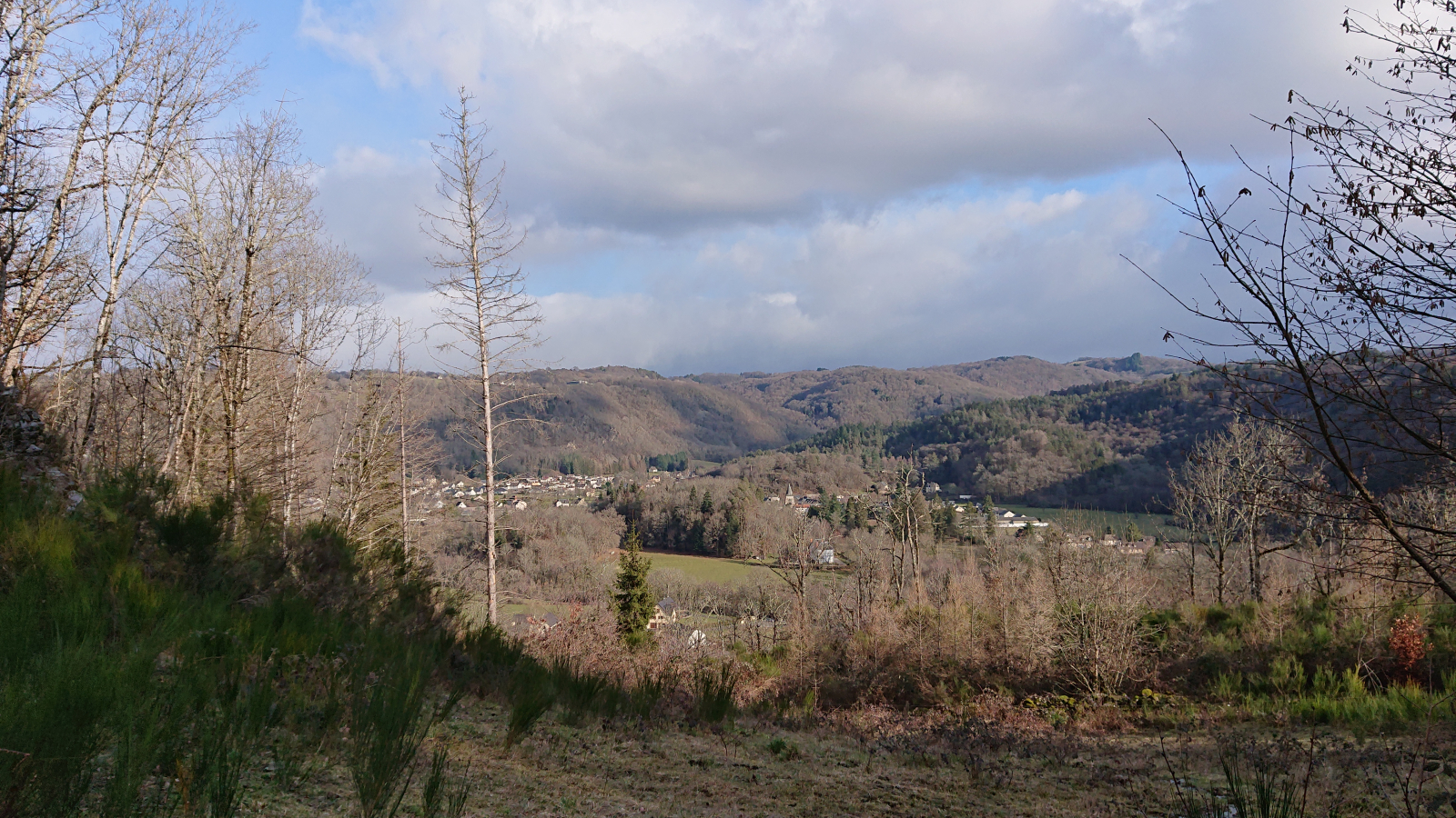 vue sur Champs