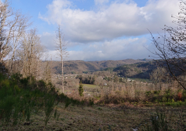 vue sur Champs