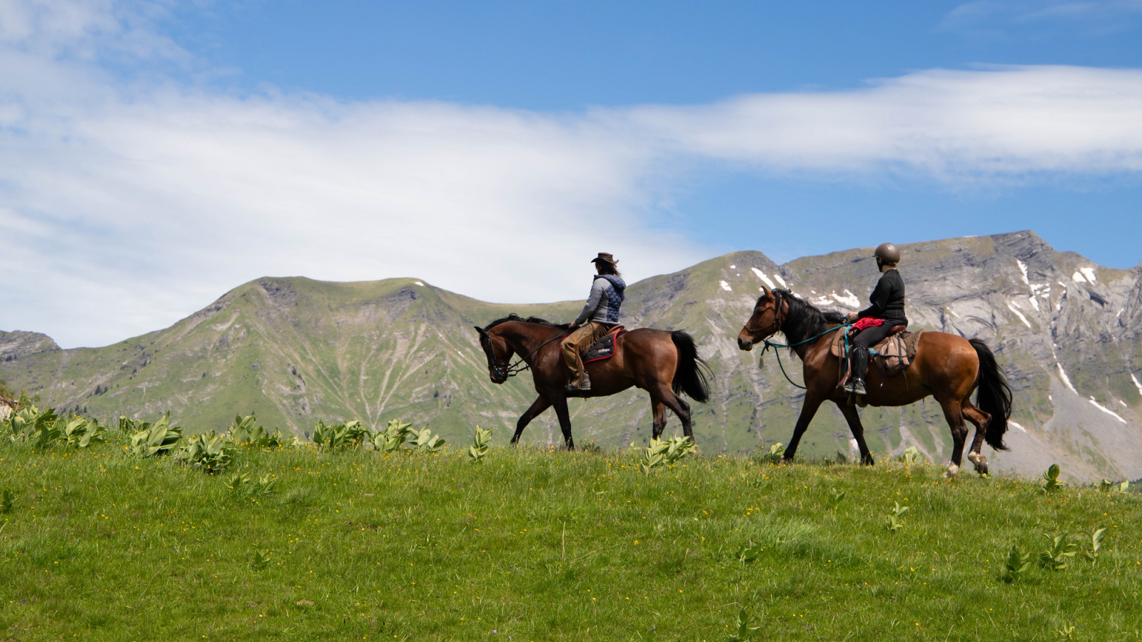 walks and horse rides