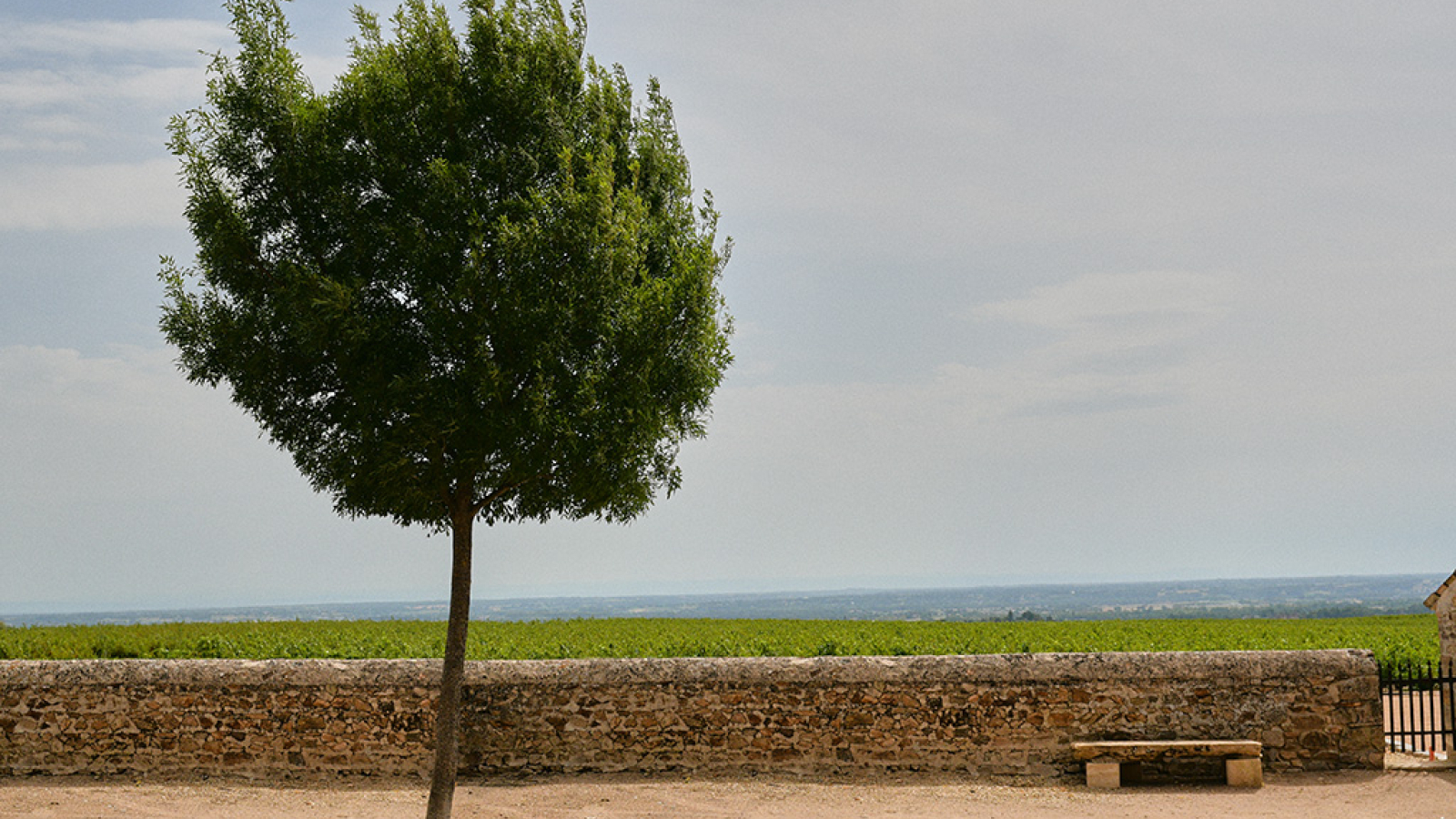 CHARVET - Gîte de groupe l'Etape Vigneronne à FLEURIE