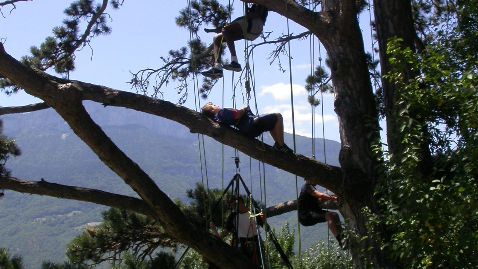 repos sur une branche à mi hauteur