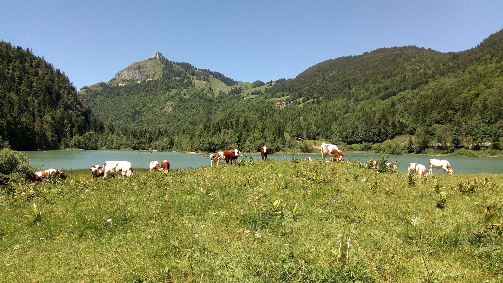 Vue sur Tré le Saix